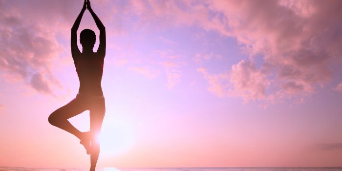 free yoga trial classes workshop events yogic warrior yogicwarrior com 10